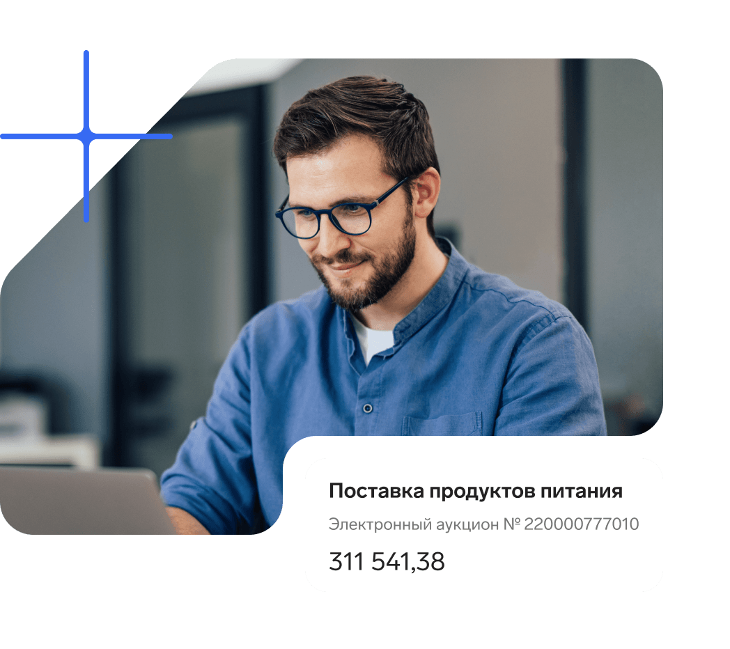 Сопровождение торгов